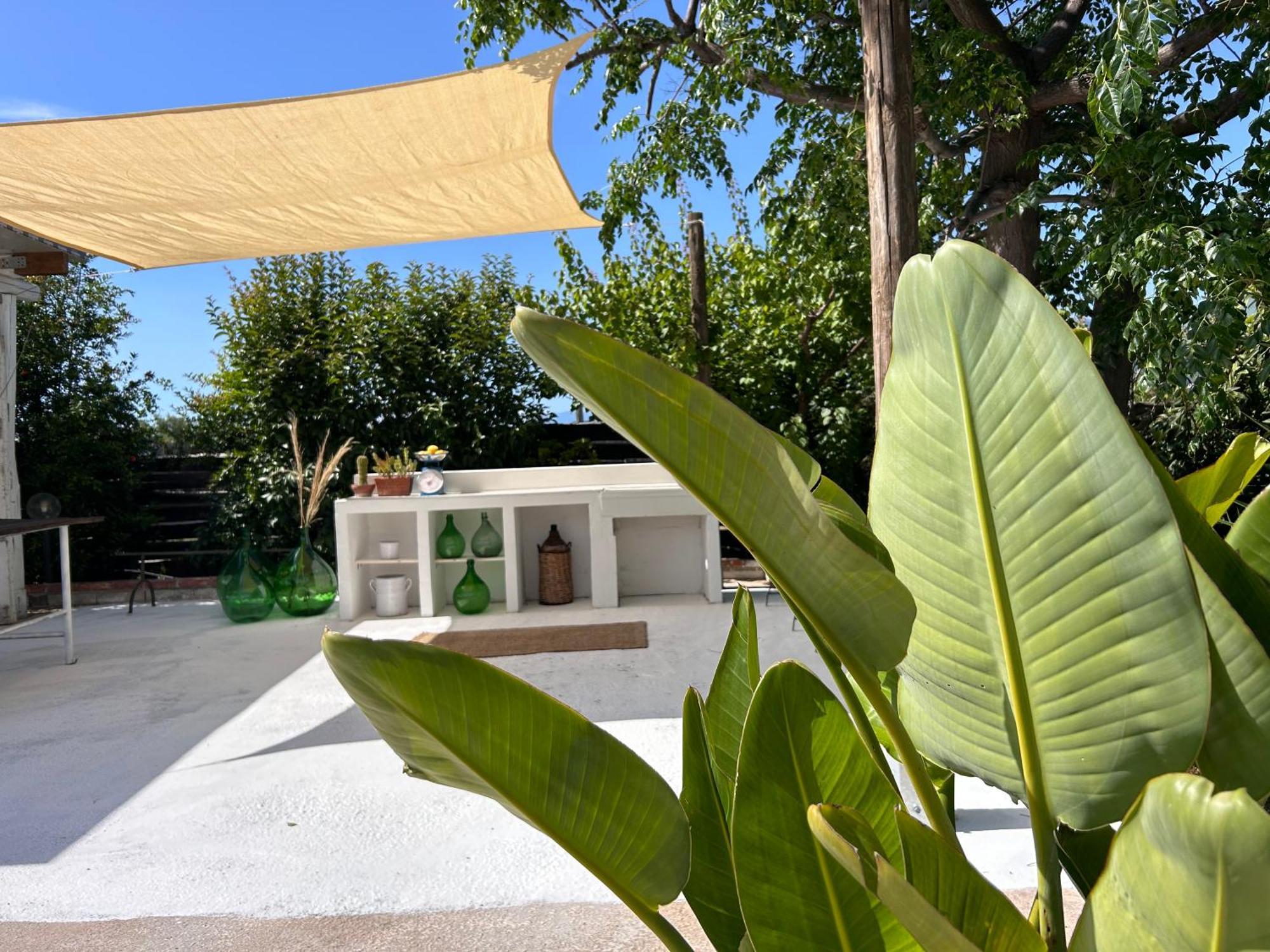 87029House Guest House สกาเลอา ภายนอก รูปภาพ